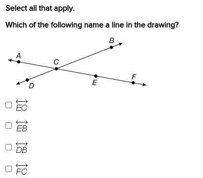 Select all that apply 
Which of the following name a line in the drawing ?