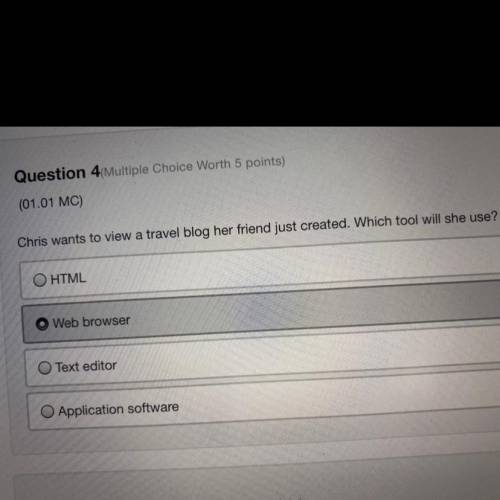PLEASE HELP Chris wants to view a travel blog
