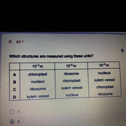I know that the answer is D, but why would it be D