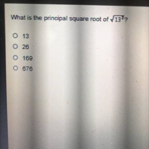 What isthe principal square root of 13

Whoever answers first and correct gets the Brainest answe!
