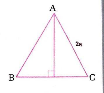 In the adjoining equilateral  ABC , AD ⊥ BC and AC = 2a units. Prove that sin 60° =  .