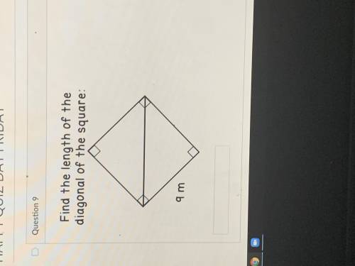 PLEASE HELP I REALLY NEED THE ANSWERS