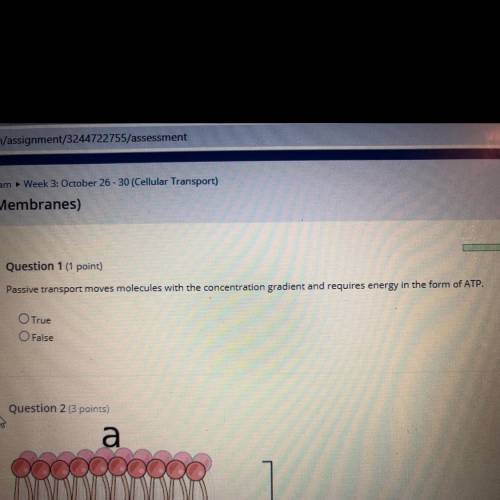 Please help I do not know the answer