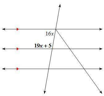 PLEASE HELP I AM BEING TIMED!!!

Statment: Find the measure of the angle indicated by 19x+5
Option