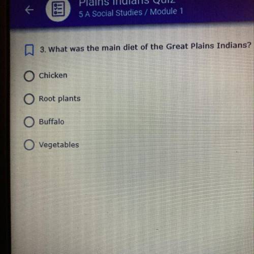 N 3. What was the main diet of the Great Plains Indians?

O Chicken
Root plants
O Buffalo
Vegetabl