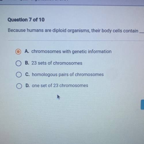 Because humans are diploid organisms, their body cells contain__.