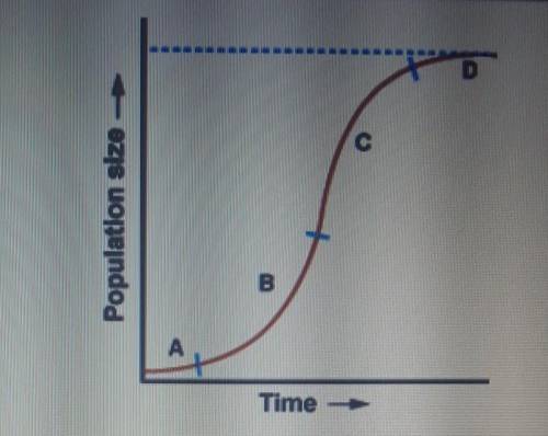 At which point in the graph has the population reached carrying capacity?

A. Point BB. Point AC.