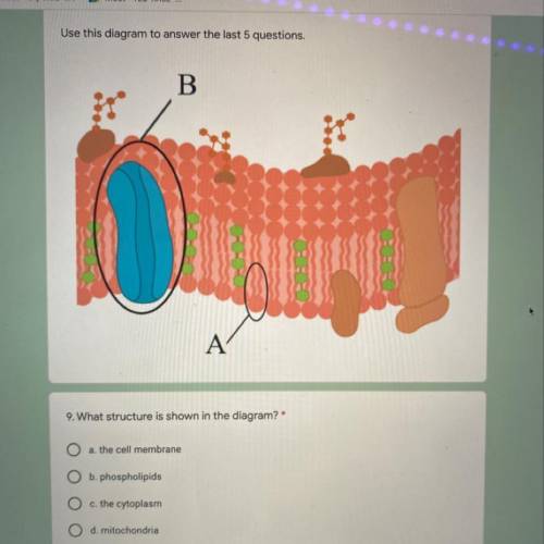 Guys what is this ?? Help ! 
I have 5 questions of this diagram !!