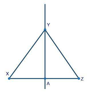 If ΔXYZ is dilated by a scale factor of 2 about point X, which of the following is true about line