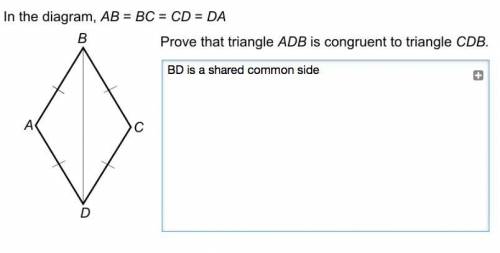 PLEASE HELP prove triangle ADB is congruent to triangle CDB (attached)