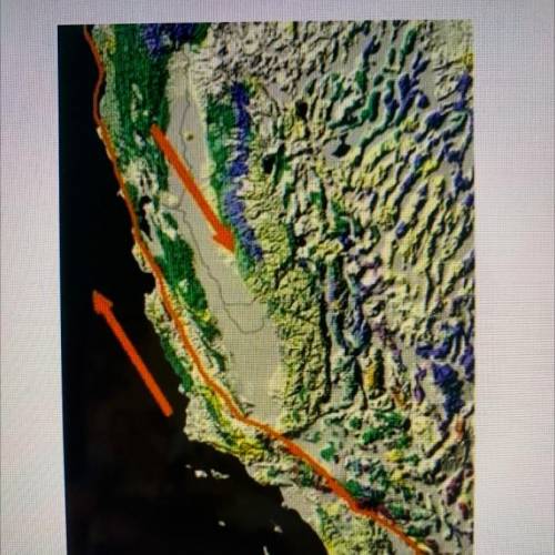 Earthquakes are relatively common throughout the west coast, especially in California. The map of C