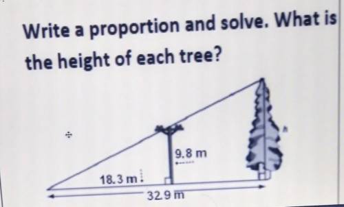 Write a proportion and solve. What is the height of each tree?
