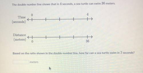 Help please, If you answer can you explain it to me, thank you
