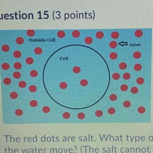 The red dots are salt. What type of solution is this cell in, and in which direction will

the wat