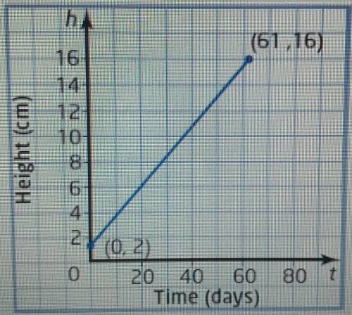 The graph shows the height of a plant over a 2-month growth period. Calculate the rate of change pe
