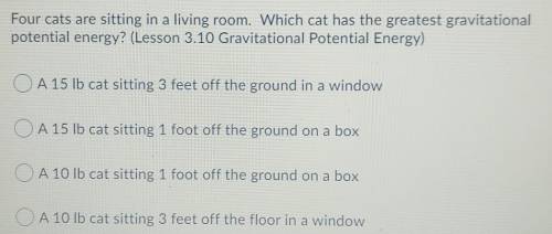 Four cats are sitting in a living room. Which cat has the greatest gravitational potential energy?