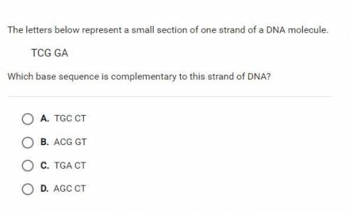 Which base sequence is complementary to this strand of DNA?