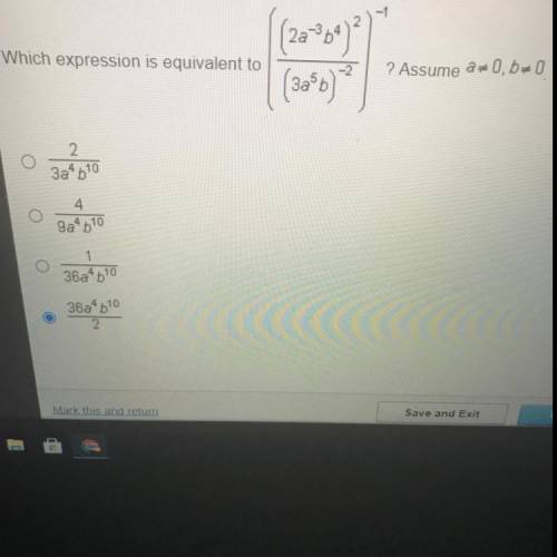 I need help what is the correct answer