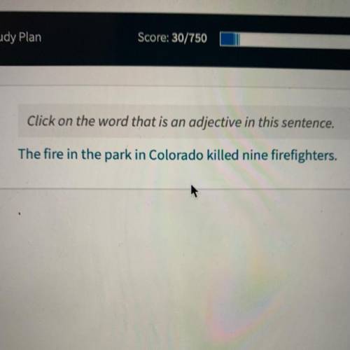 Click on the word that is an adjective in this sentence.

The fire in the park in Colorado killed