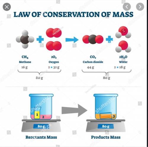 BASED ON THE INFORMATION BELOW. CALCULATE THE MASS FOR ONE OF THESE ATOMS:

MASS OF A SINGLE CARBO