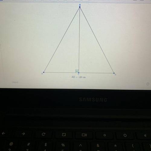 L

In GeoGebra, you should see a sketch of William's kite. You'll use the sketch to find the lengt