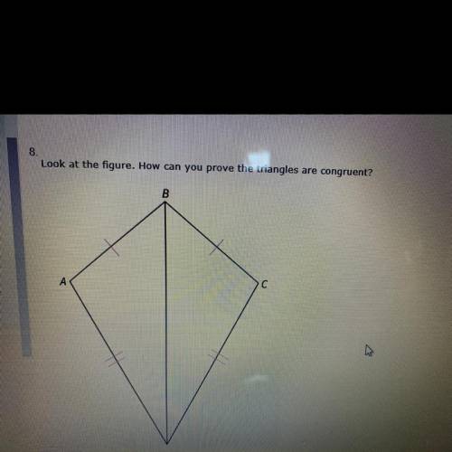 Look at the figure. How can you prove the triangles are congruent?

A. ABD = CBD by the SAS Postul