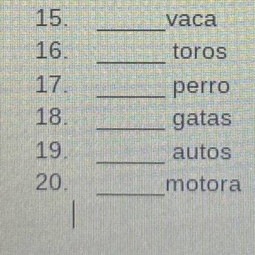 Classify definite articles (SPANISH)!!