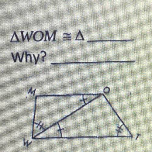 Angle WOM is congruent to angle ___. Why?