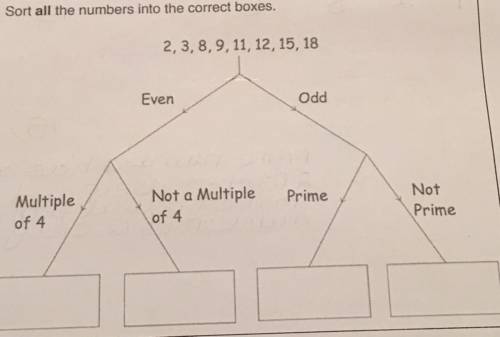 Sort all the numbers into the correct boxes.

2, 3, 8, 9, 11, 12, 15, 18
Even
Odd
Not a Multiple
P
