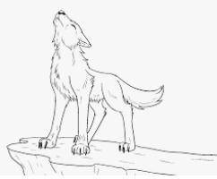 Here are some more sadly there is a hurricane happening so i am drawing more wolf drawings