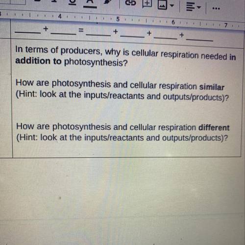 In terms of producers, why is cellular respiration needed in

addition to photosynthesis?
How are