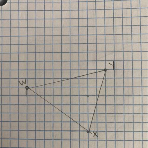 which of the following is the correct classification for triangle WXY given W(-7,1), X(0,-4) and Y(