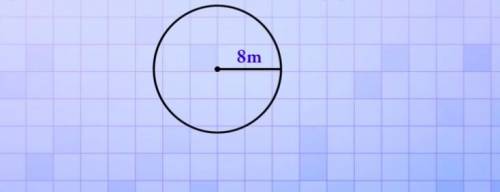 Hey i will give brainliest for the question !:) what is the circumference of this circle

1. 50.2