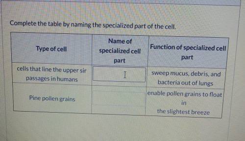 I need help naming the cells