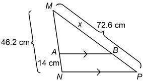 What is the value of x?

Enter your answer, as a decimal, in the box.
cm
Triangle M N P with segme
