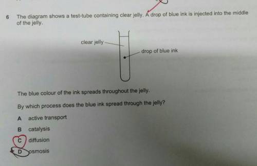 Why the answer is C not D?