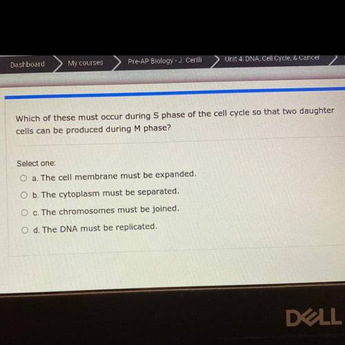 Que:

Which of these must occur during S phase of the cell cycle so that two daughter
cells can be