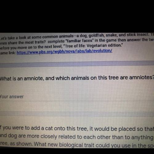 PLEASE HELP ME OUT !! 
What is an amniote, and which animals on this tree are amniotes?