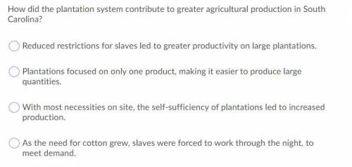 How did the plantation system contribute to greater agriculture production in South Carolina?