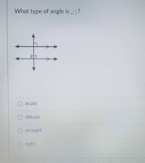 What type of angle is 1
