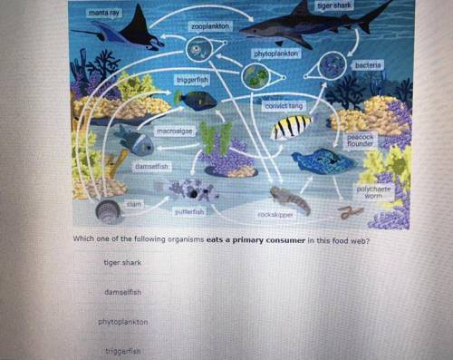 Which one of the following organisms eats a primary consumer in this food web?

This ixl it’s my l