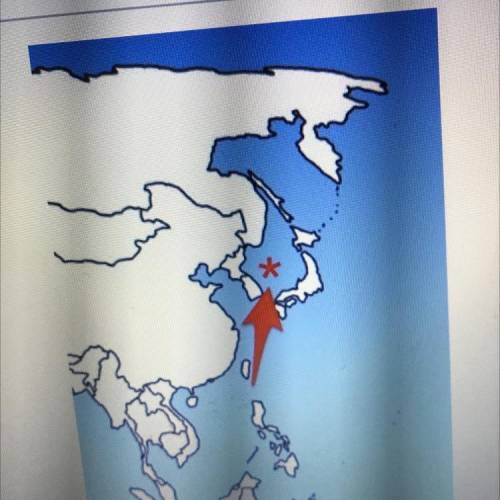 Which body of water is represented on the map?

A)
Coral Sea
B)
Sea of Japan
East China Sea
D
Sout