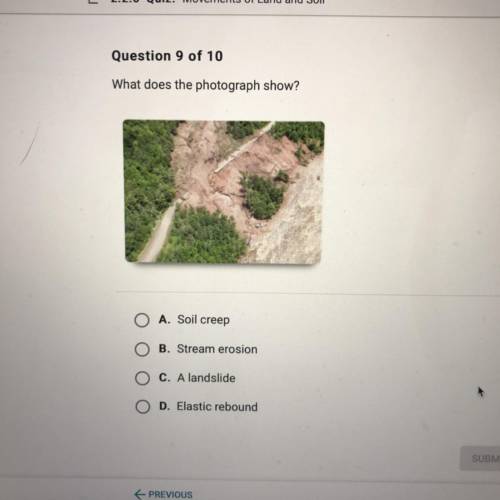 What does the photograph show?