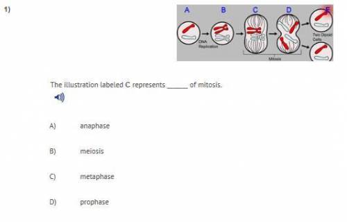 ILL MARK YOU BRAINIEST ASAP SOME BIO QUESTION ON MITOSIS....IMAGE B