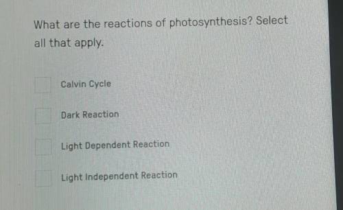 What are the reactions of photosynthesis? Select all that apply. Calvin Cycle Dark Reaction Light D
