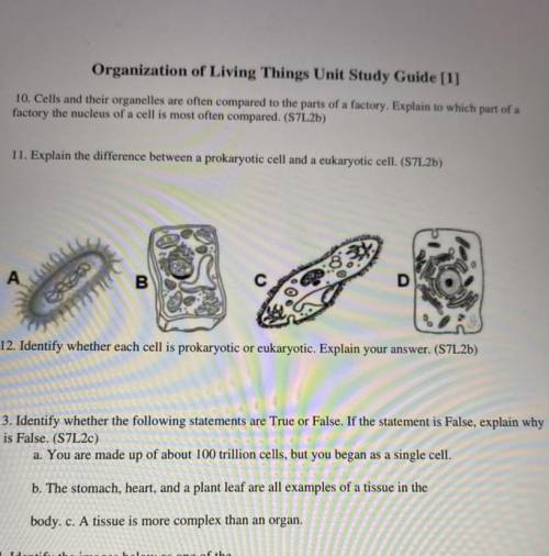 Organization of living things unit study(1)