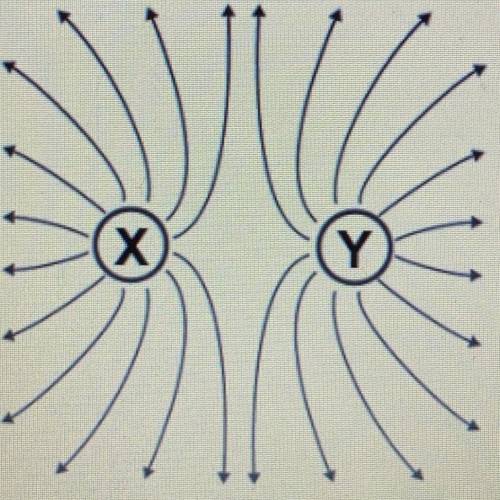 Ne diagram shows two charged objects, X and Y.

Based on the field lines, what are the charges of