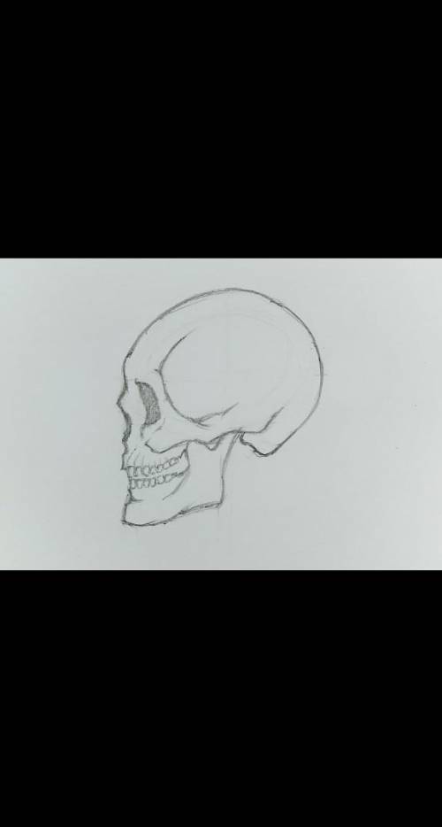 The skull is drawn by me in few hours.