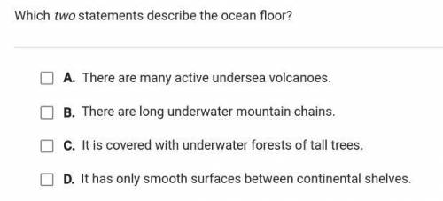 Which TWO statements describe the ocean floor giving brainliest please help