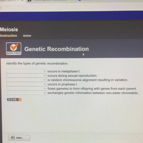 Identify the types of genetic recombination.